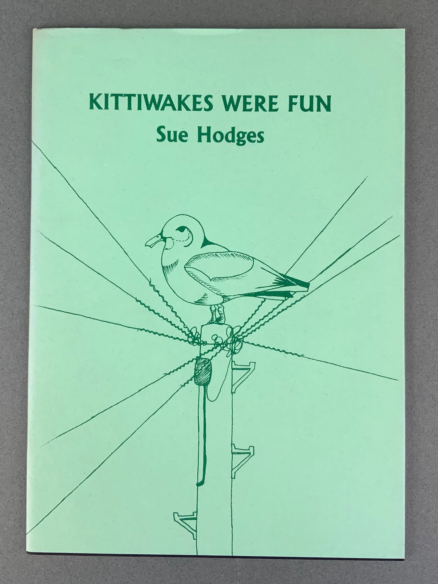 Kittiwakes Were Fun