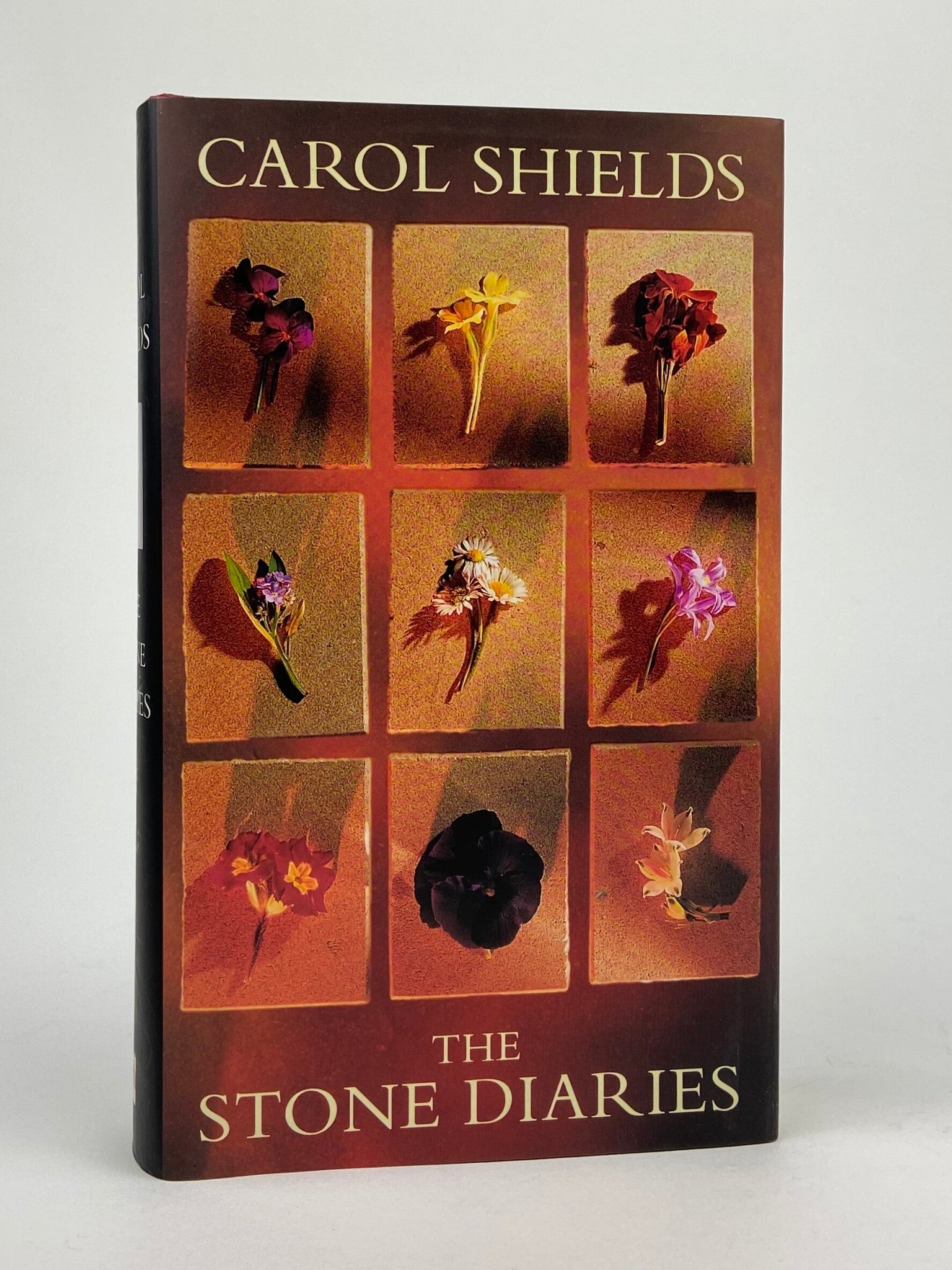 The Stone Diaries